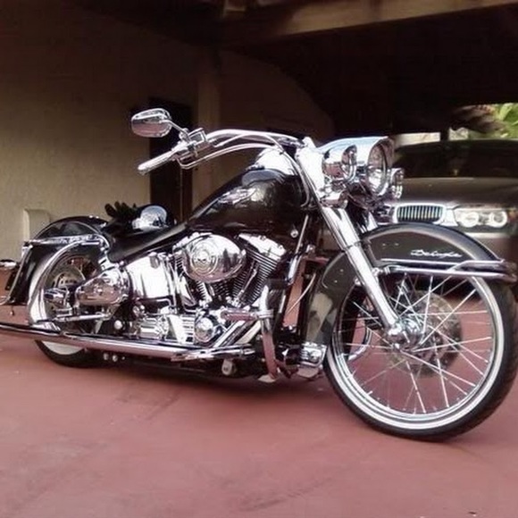 Meet your Posher, Christopher - Picture 1 of 1